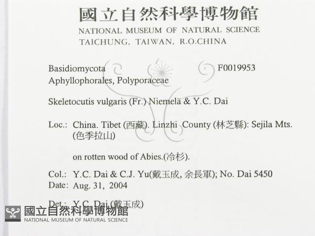 登錄號:F0019953藏品圖，第3張
