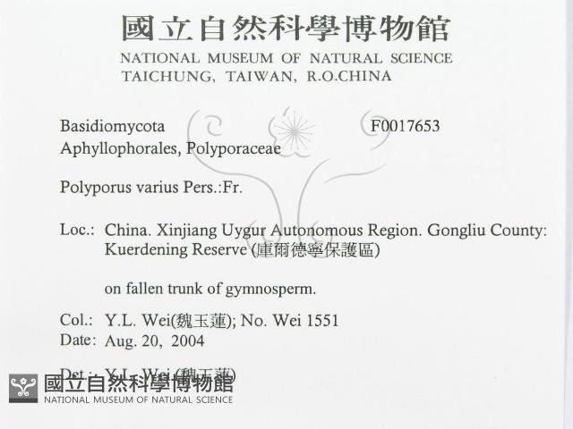 登錄號:F0017653藏品圖，第3張