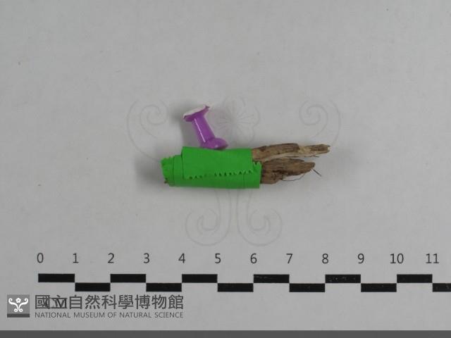 登錄號:F0033653藏品圖，第1張