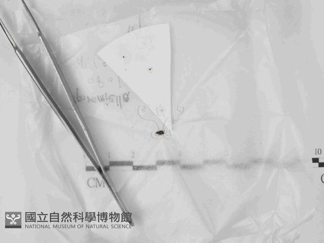 登錄號:F0021453藏品圖，第1張