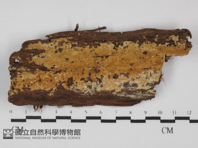 登錄號:F0031453藏品圖，第1張
