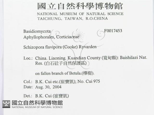 登錄號:F0017453藏品圖，第3張