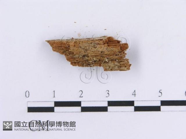 登錄號:F0016753藏品圖，第1張