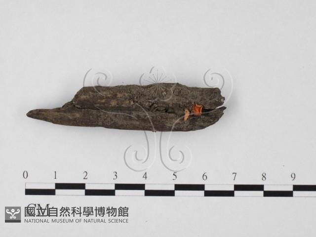 登錄號:F0025753藏品圖，第1張