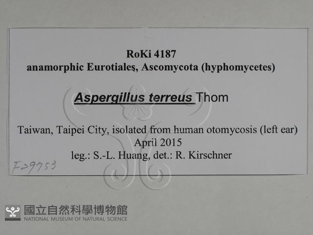 登錄號:F0029753藏品圖，第3張