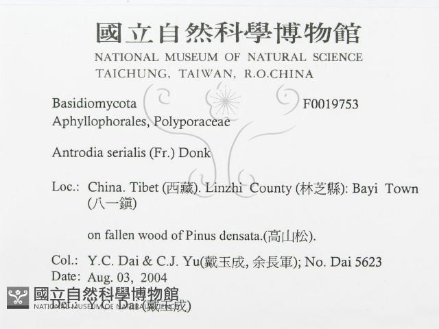 登錄號:F0019753藏品圖，第3張