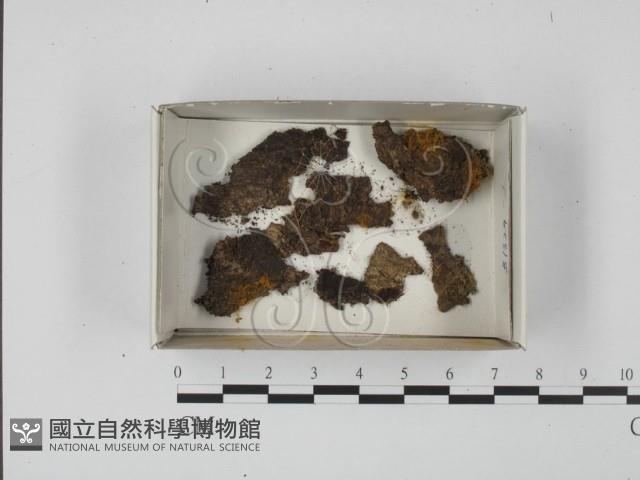 登錄號:F0018553藏品圖，第1張