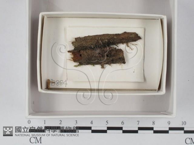 登錄號:F0020553藏品圖，第1張