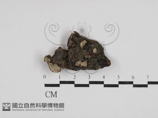 登錄號:F0030553藏品圖，第1張