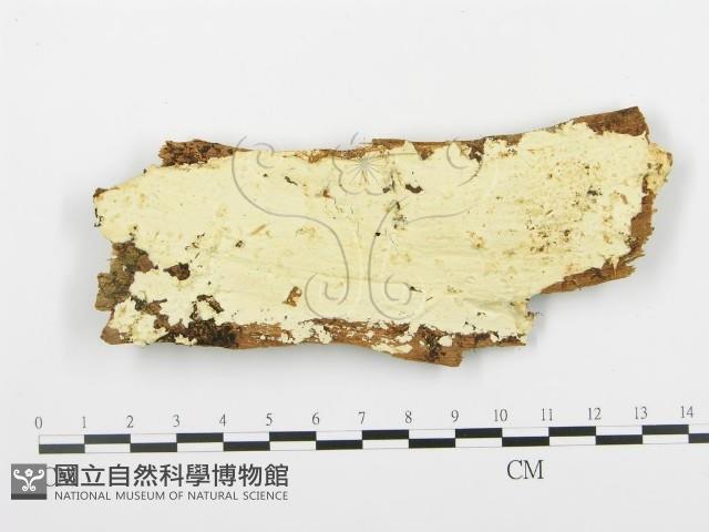 登錄號:F0009553藏品圖，第1張