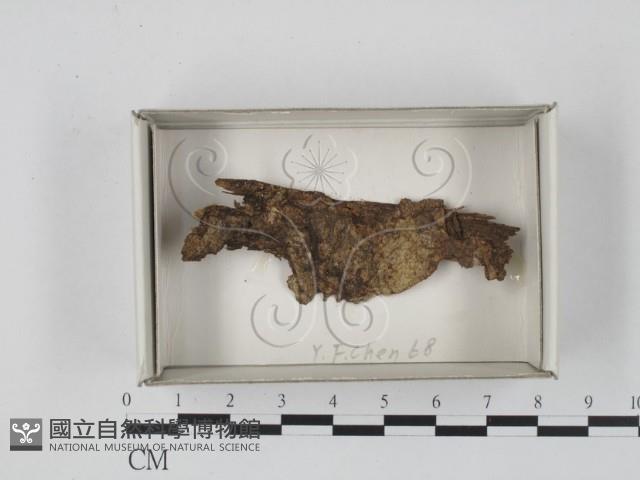 登錄號:F0018153藏品圖，第1張