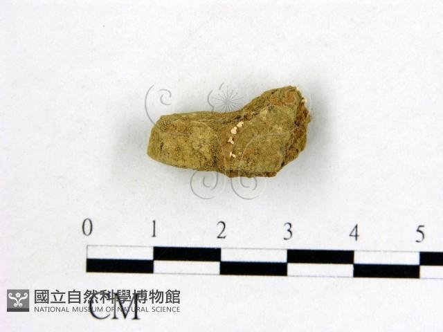 登錄號:F0001153藏品圖，第1張