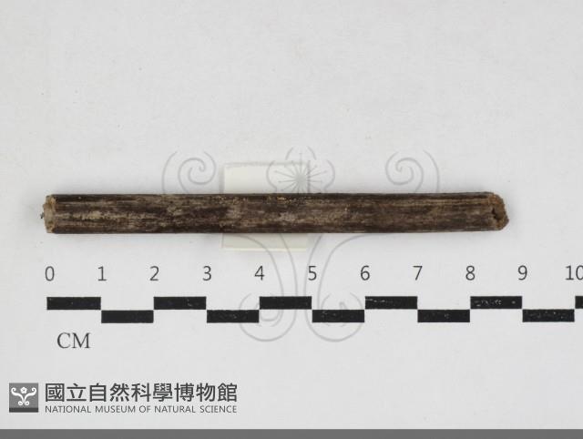 登錄號:F0034153藏品圖，第1張