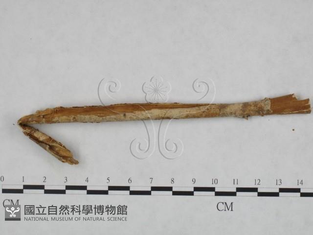 登錄號:F0022153藏品圖，第1張