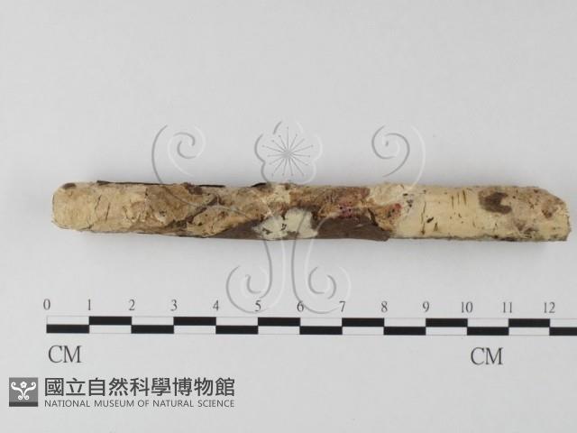 館號:F0020053藏品圖，第1張