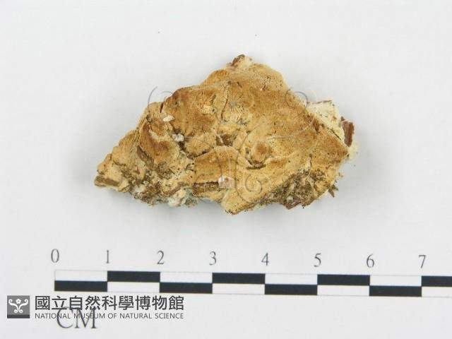 登錄號:F0014053藏品圖，第1張