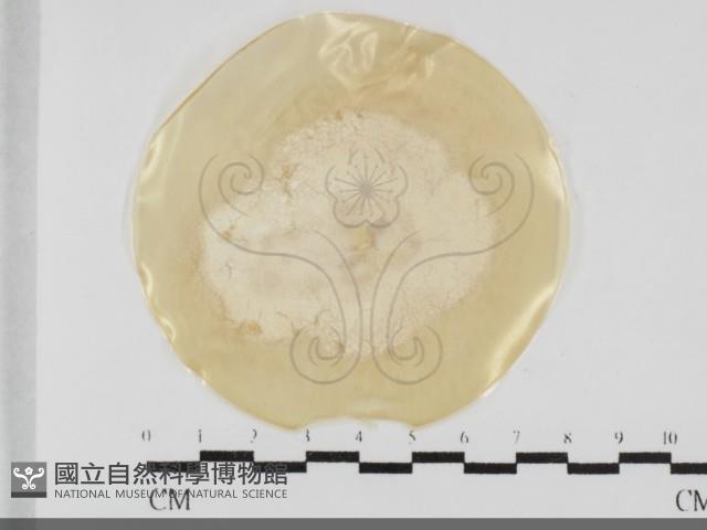 登錄號:F0032053藏品圖，第1張