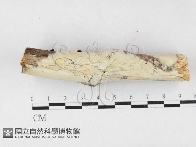 登錄號:F0027053藏品圖，第1張