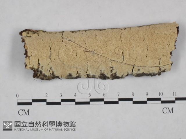 登錄號:F0025053藏品圖，第1張