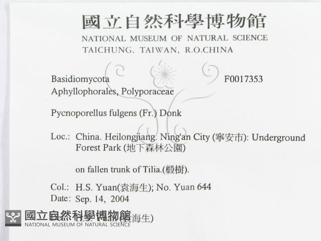 登錄號:F0017353藏品圖，第3張