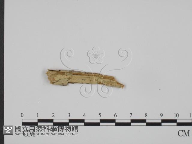 登錄號:F0015353藏品圖，第1張