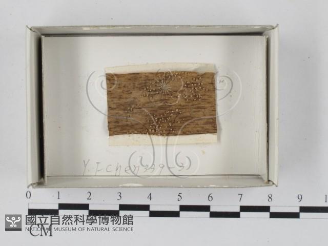 登錄號:F0018243藏品圖，第1張
