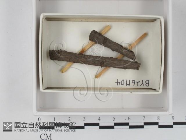 登錄號:F0021243藏品圖，第1張