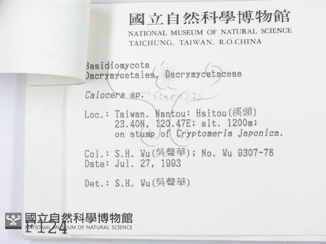 登錄號:F0001243藏品圖，第3張