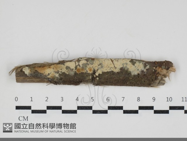 登錄號:F0034243藏品圖，第1張