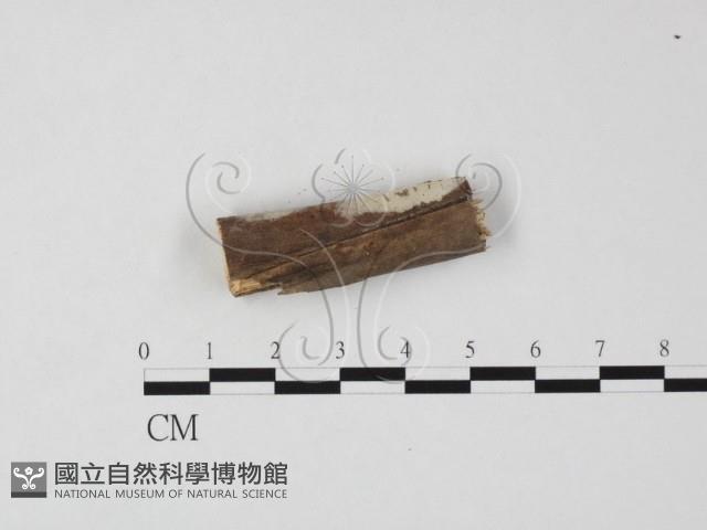 Accession Number:F0022243 Collection Image, Figure 1, Total 4 Figures