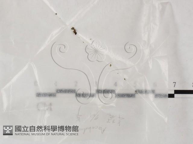 登錄號:F0002243藏品圖，第1張