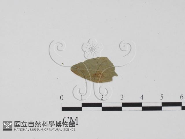 登錄號:F0011843藏品圖，第1張