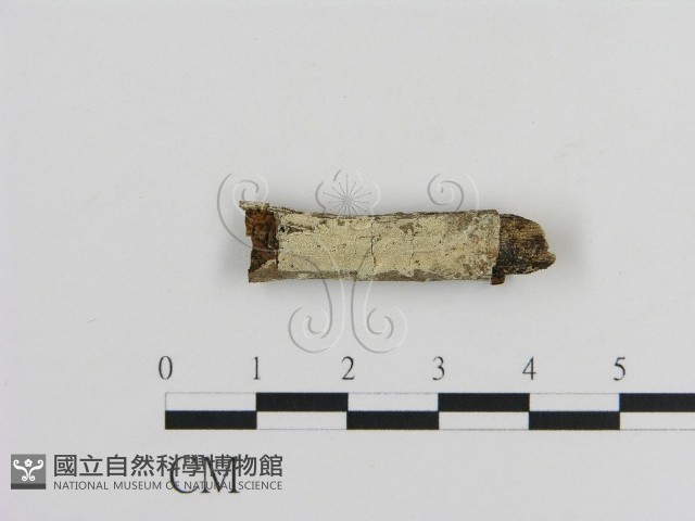登錄號:F0002843藏品圖，第1張