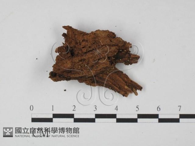 登錄號:F0009843藏品圖，第1張