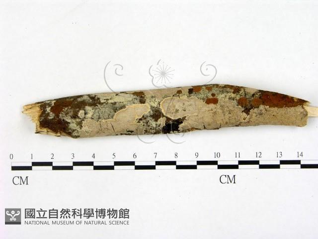 登錄號:F0003843藏品圖，第1張