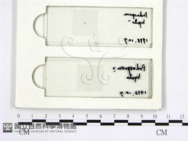 登錄號:F0008943藏品圖，第1張