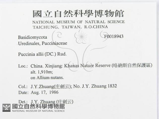 登錄號:F0018943藏品圖，第3張