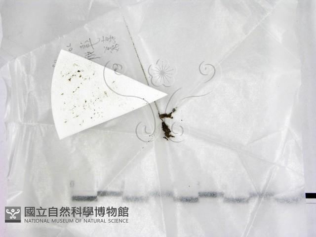 登錄號:F0020943藏品圖，第1張