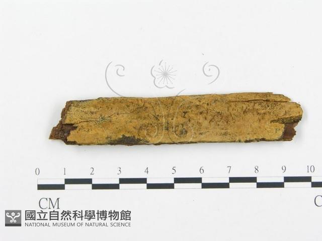 登錄號:F0000943藏品圖，第1張