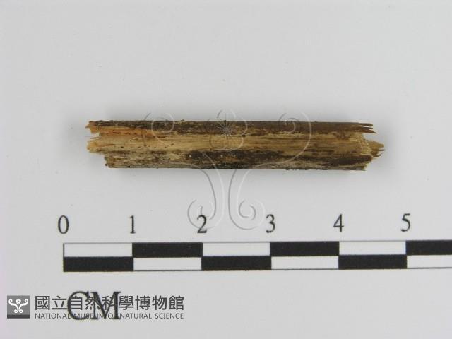 登錄號:F0009943藏品圖，第1張