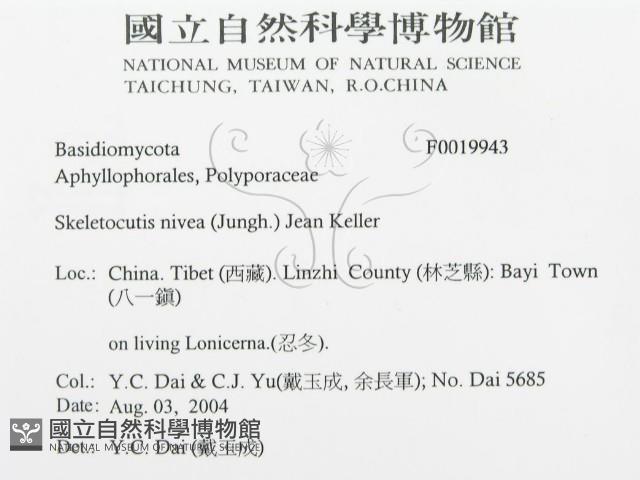 登錄號:F0019943藏品圖，第3張