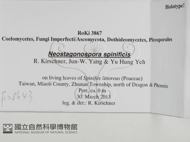 登錄號:F0028643藏品圖，第3張