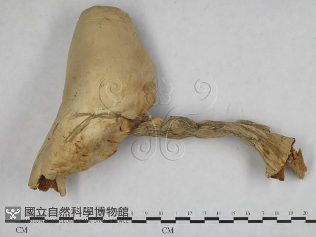 登錄號:F0002643藏品圖，第1張