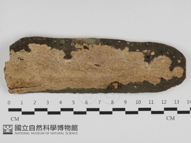 登錄號:F0029643藏品圖，第1張