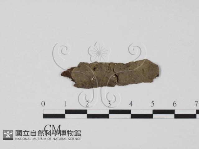 登錄號:F0019643藏品圖，第1張