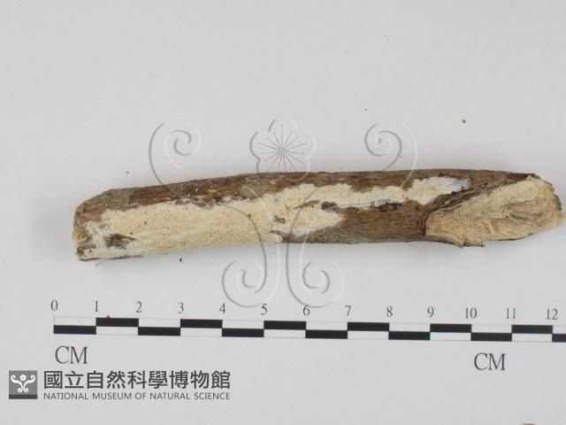 登錄號:F0023643藏品圖，第1張