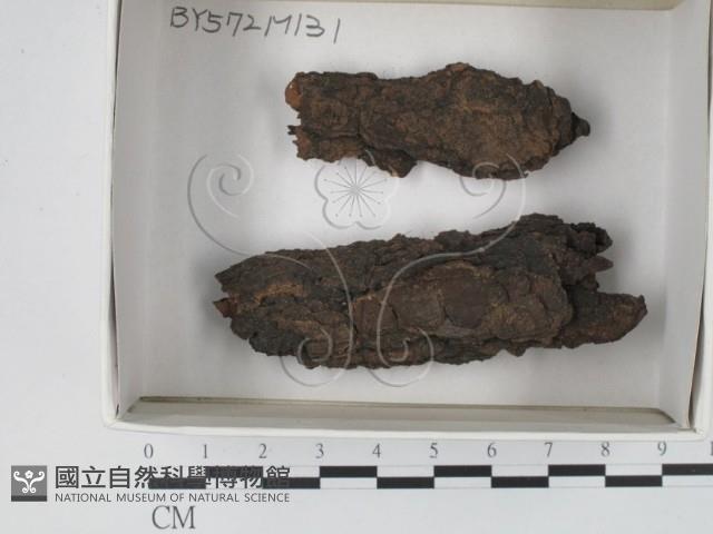 登錄號:F0018443藏品圖，第1張