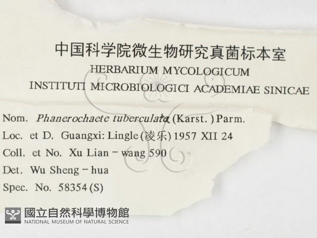 登錄號:F0000443藏品圖，第3張