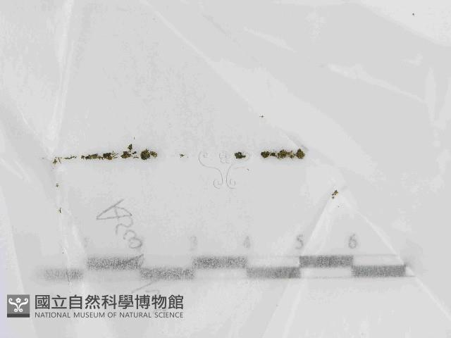 登錄號:F0021443藏品圖，第1張