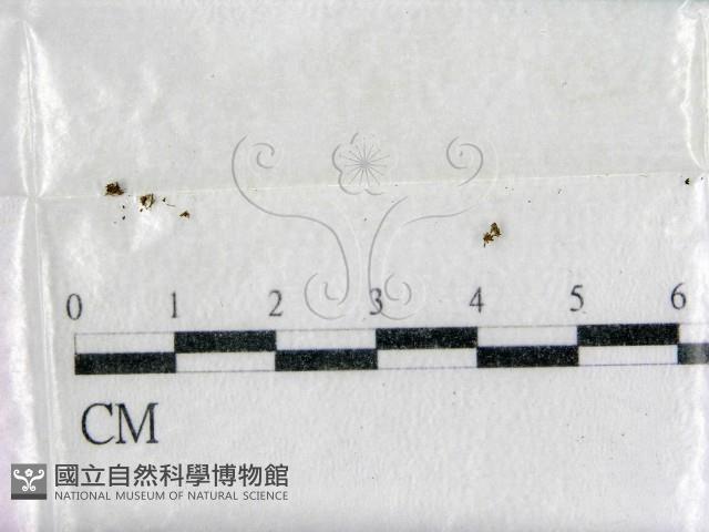 登錄號:F0001443藏品圖，第1張